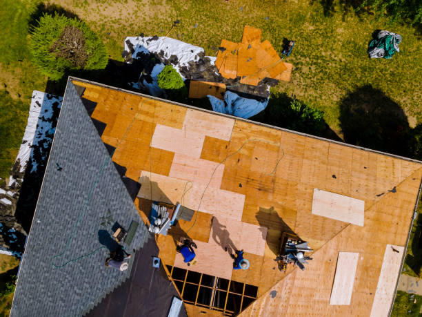Best Local Roofing Companies  in Sigourney, IA