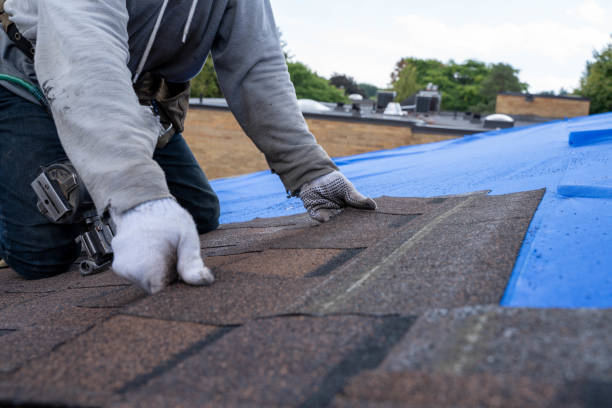 Best Metal Roofing Contractor  in Sigourney, IA